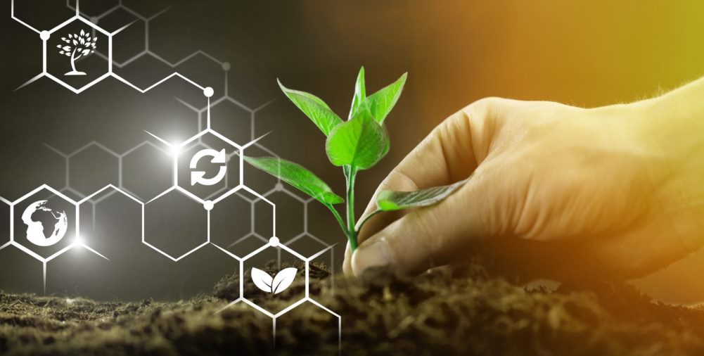 agriculture_biotech_plant_journal